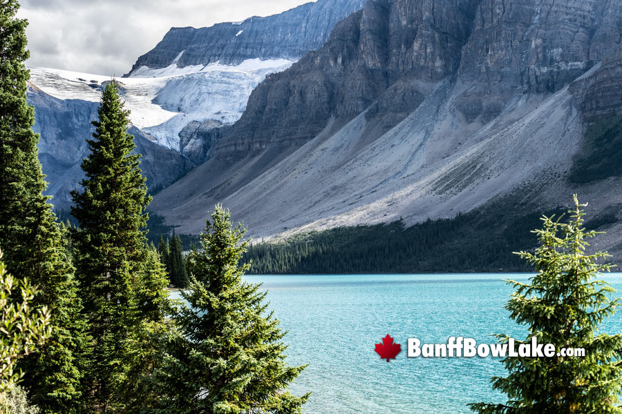 Photography Locations and Gear around Bow Lake