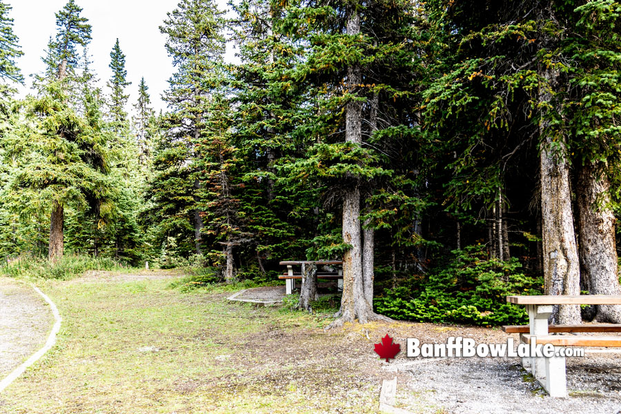 What to do at Bow Lake